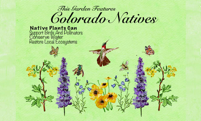 draw botanical illustrations in watercolor