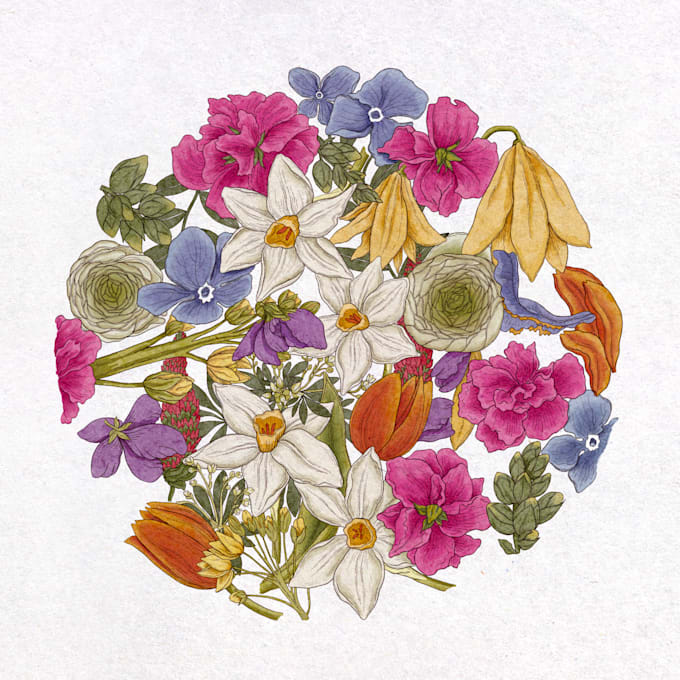 create botanical illustrations for natural product packaging