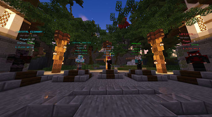 create, setup, manage and develop professional  minecraft server