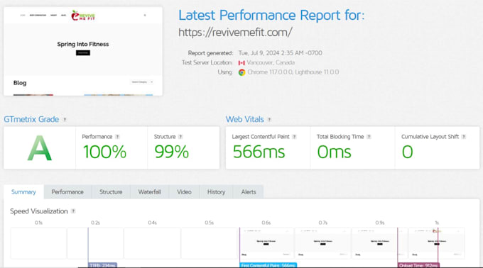 do wordpress website speed optimization, boost page speed