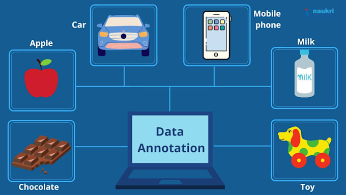 offer accurate data annotation services