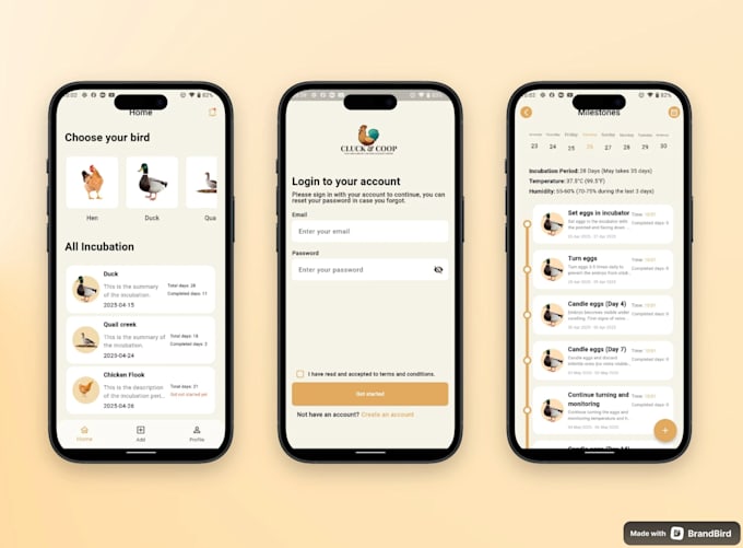 build stunning flutter apps for android and ios
