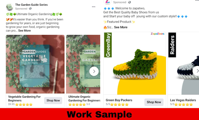 run premium facebook ads for shopify or woocommerce store