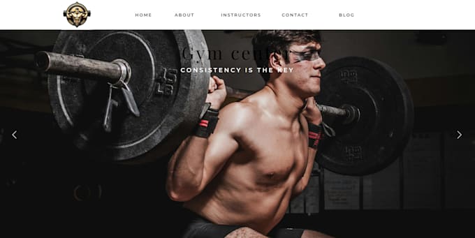design and build website with showit or template customization