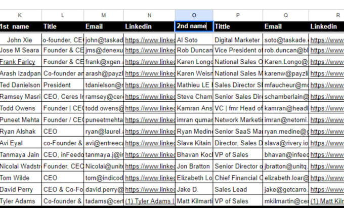 excel data entry, data merge, cleanup and formatting