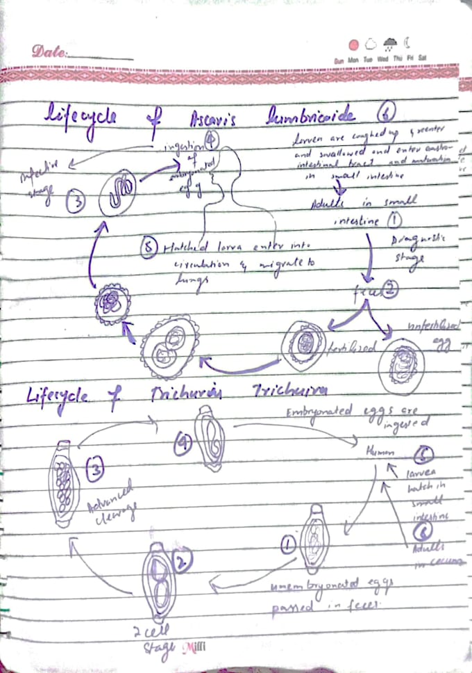 be your general science and biology tutor