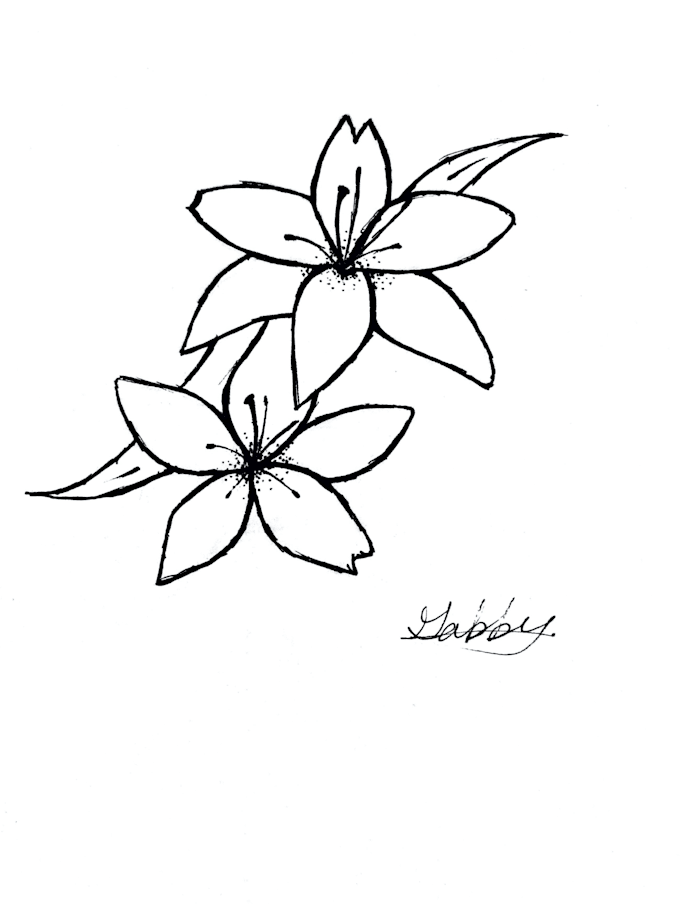 draw an object or landscape
