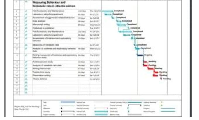create gantt chart, project plan, schedule timelines using ms project