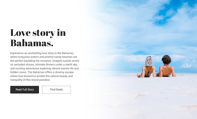 be your bubble io, webflow, wordpress, wix developer