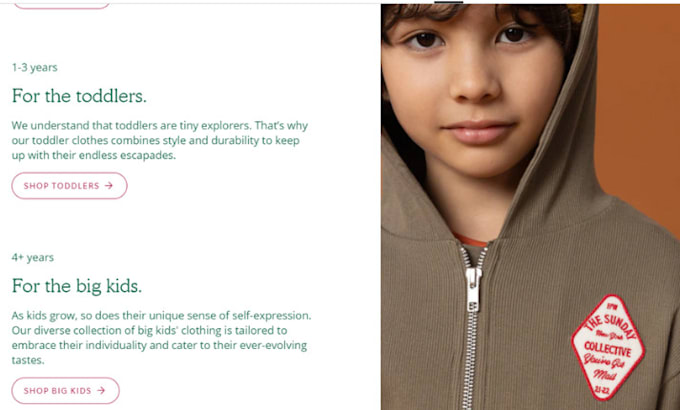 create shopify website design, shopify store design, shopify website redesign
