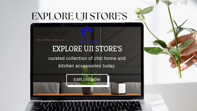 build profitable shopify dropshipping store and website