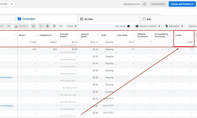 setup, manage, and optimize your facebook ads, and instagram ads campaign