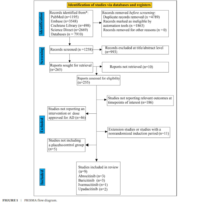 perform expert systematic review and meta analysis for research papers