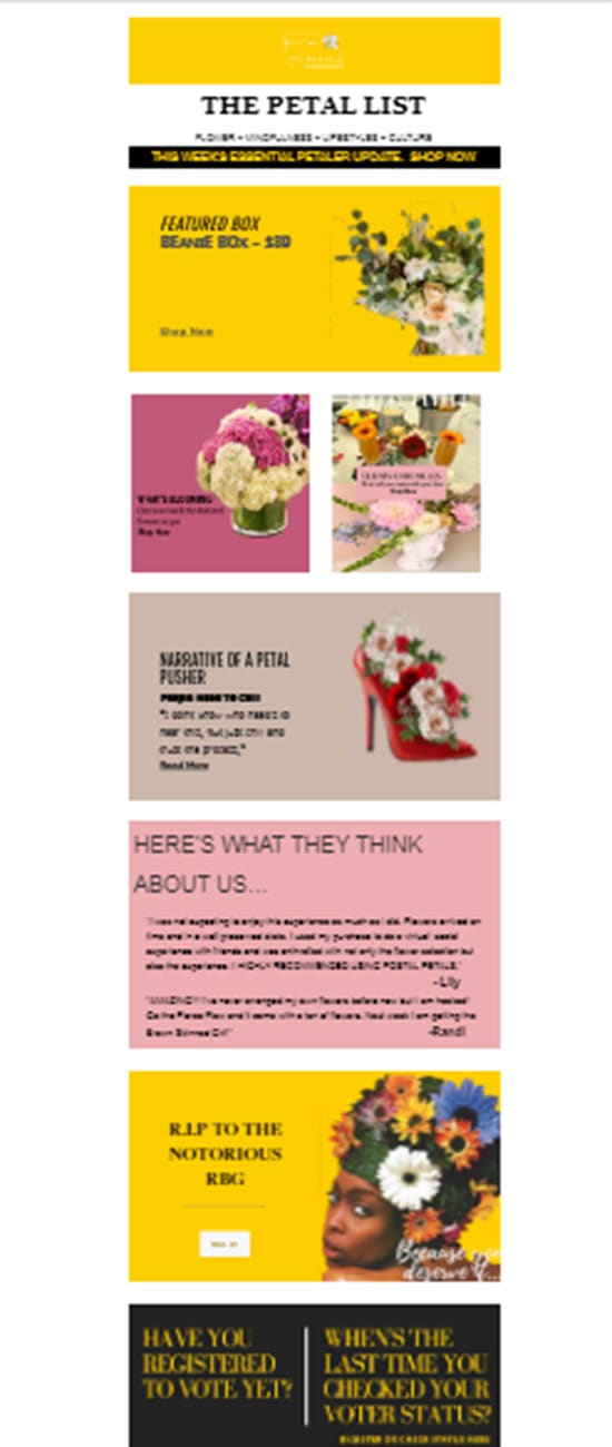 design responsive mailchimp email template or newsletter