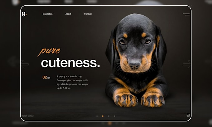 build pet shopify pet store pet website pet care pet supplies dropshipping store