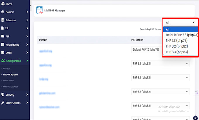 upgrade PHP website to 8, latest version, update plugins