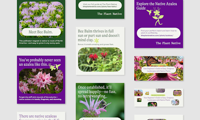 design premium instagram posts and ad creatives