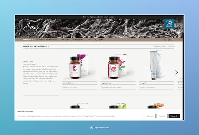 create a custom ecommerce solution in medusajs