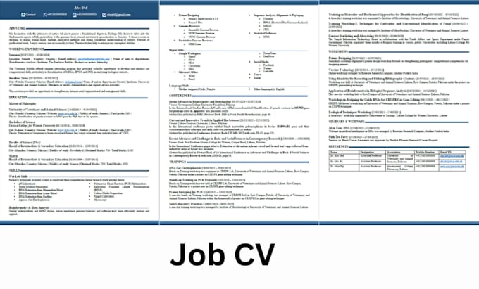 design an ats friendly professional resume or CV