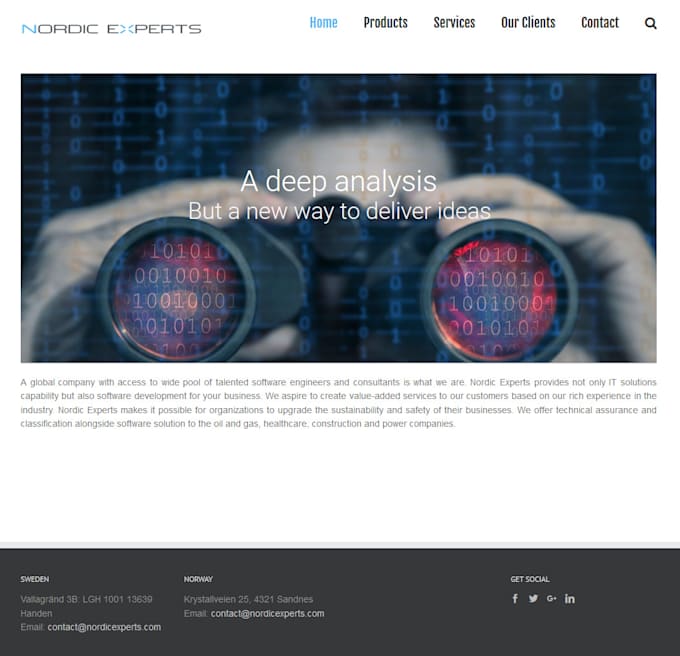 create professional wordpress website for you