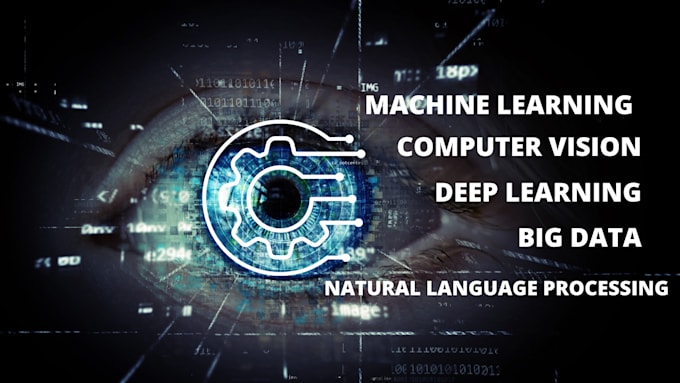 do data science and business analytics tasks