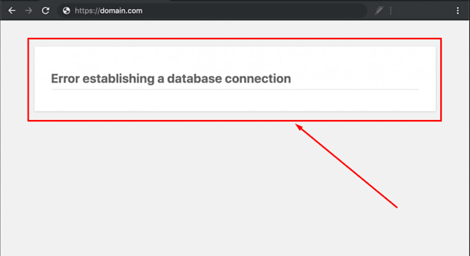 fix wordpress errors, bugs, elementor design and page speed optimization issues