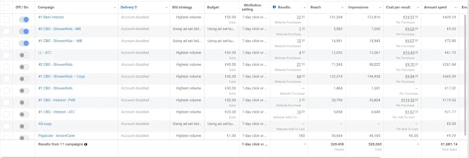 run facebook ads, campaign, fb ads manager for e commerce, real state
