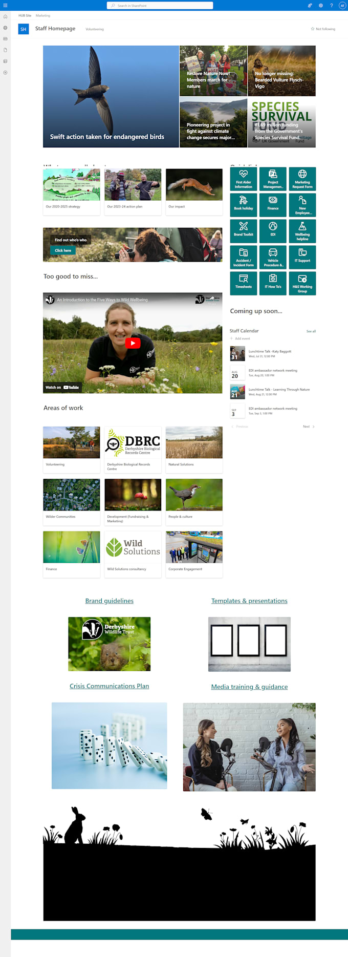 sharepoint power apps automate dataverse canvas model driven