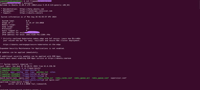 do frappe,erpnext customizations,API writing ,implementation