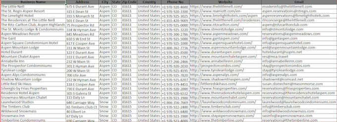 clean, format and organize your excel data for better insights