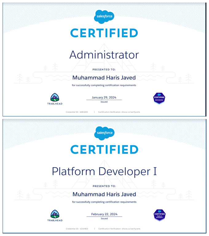 be your salesforce admin, developer and consultant