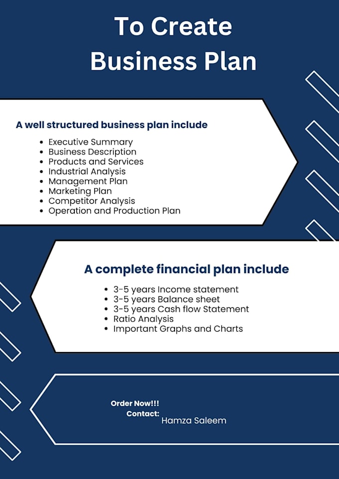 write a complete business plan for investors