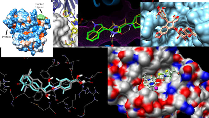 do molecular docking studies for research article, drug discovery