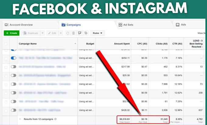 setup facebook ads campaign, instagram ads, for your business