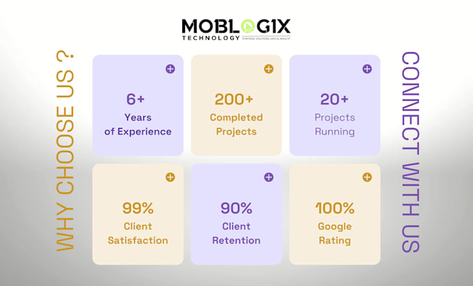 provide premium wordpress website