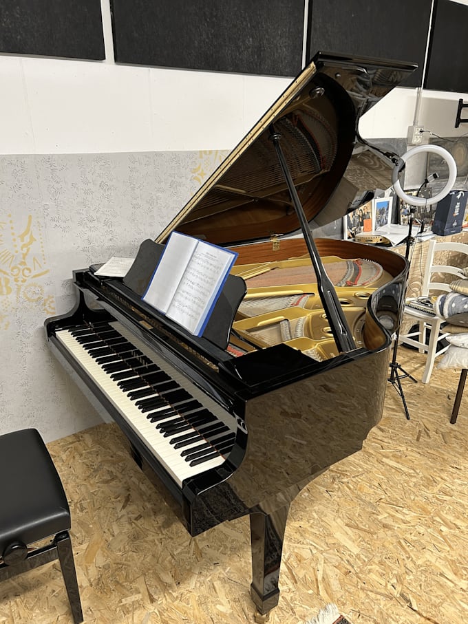 produce or arrange your song professionaly