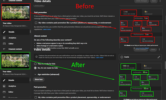 best youtube seo expert for organic vedio promotion