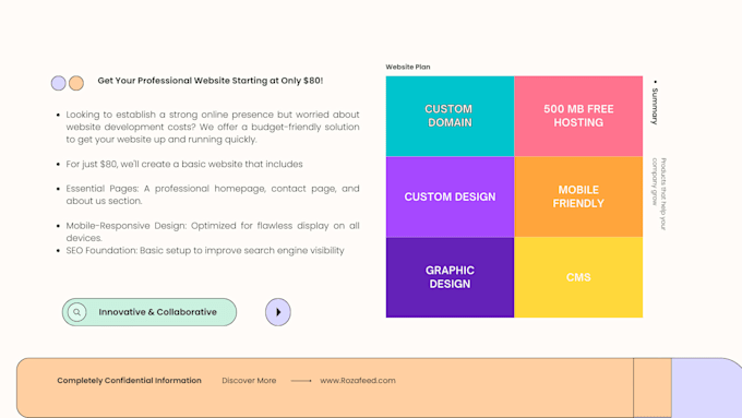 professional website design development and custom website