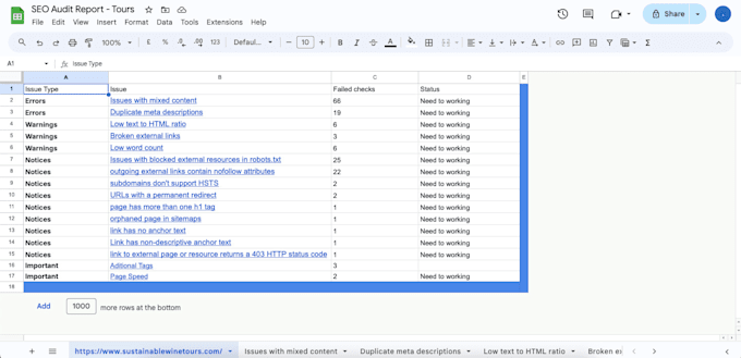 expert SEO audit to uncover and fix your website performance issues