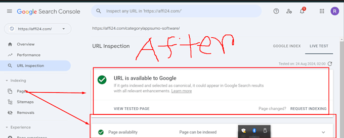 setup XML sitemap and robots txt in your website