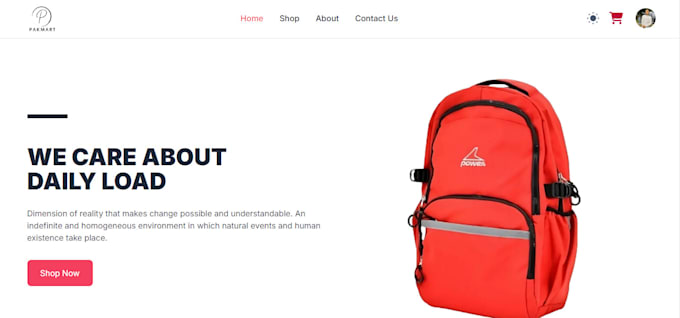 develop lightning fast responsive mern stack websites