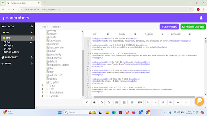 do artificial intelligence research writeup, pandorabots, and chatbot projects