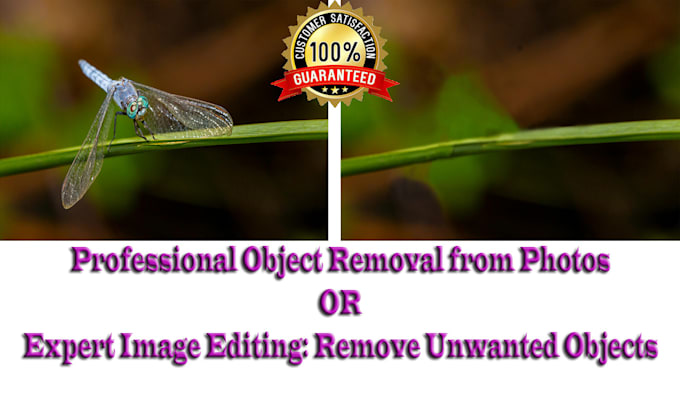 do photo background removal, crop and resize image, upscale