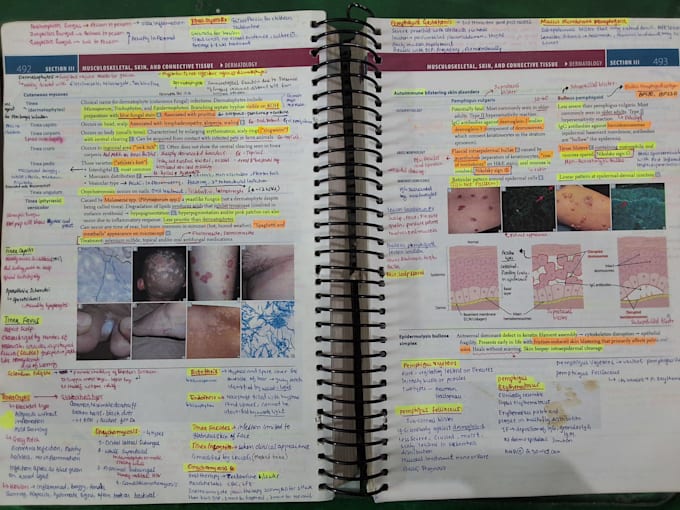 tutor you usmle first aid, usmle step 1, usmle step 2 ck,
