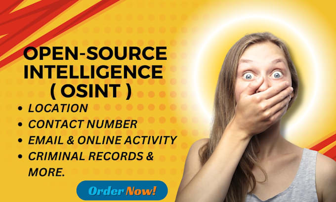provide you osint investigation  background check and private detective