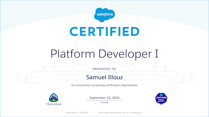be your salesforce developer, specialized in integration