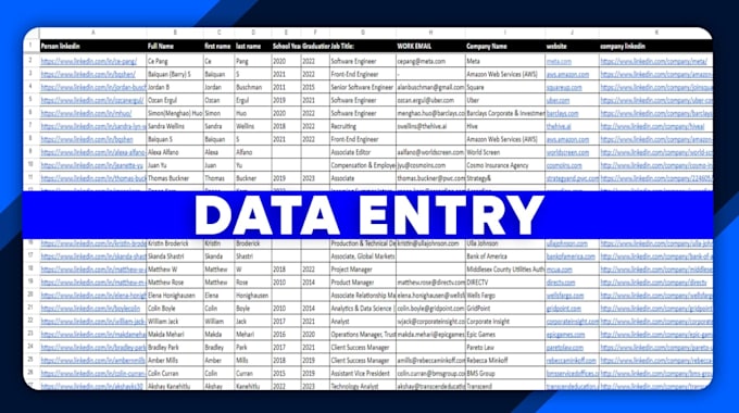 be data entry, data collection, copy paste and word press