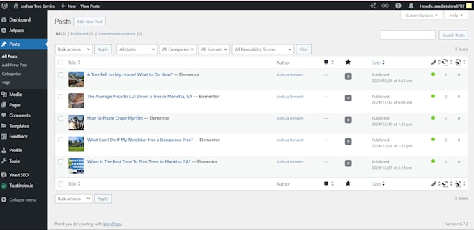 write wordpress website articles and blogs