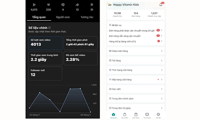 setup and optimize tiktok ads to grow your business, sales