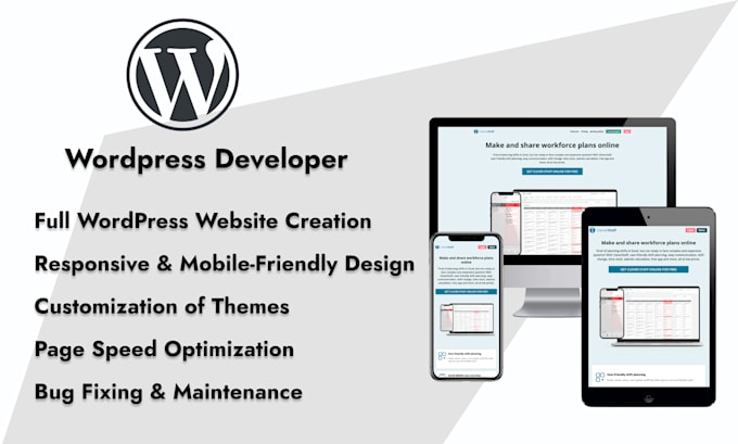 create professional wordpress website development